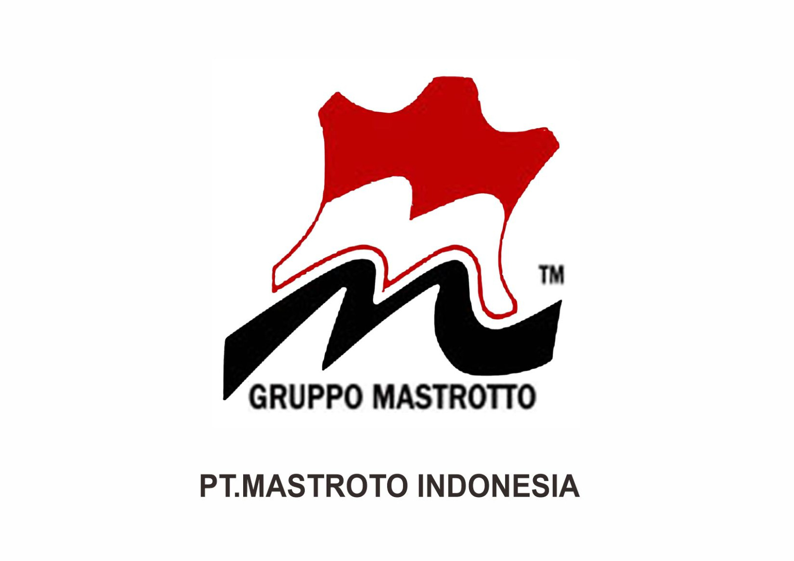 PT. MASTROTO INDONESIA