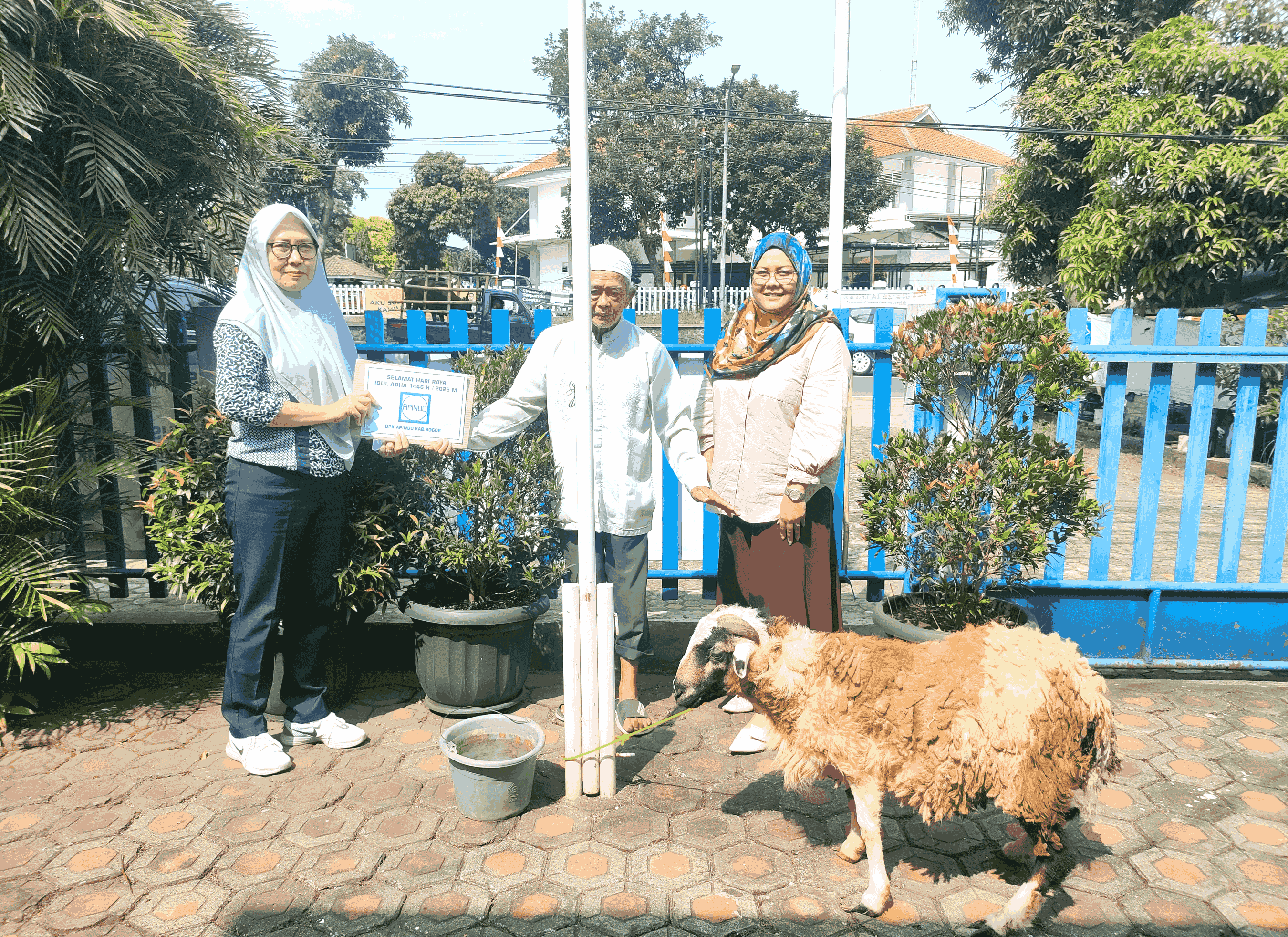 Penyerahan Hewan Qurban Idul Adha 1446 H DPK APINDO Kabupaten Bogor ke Petugas DKM Masjid Abdurrahman Bin Auf Kelurahan Tengah, Cibinong.